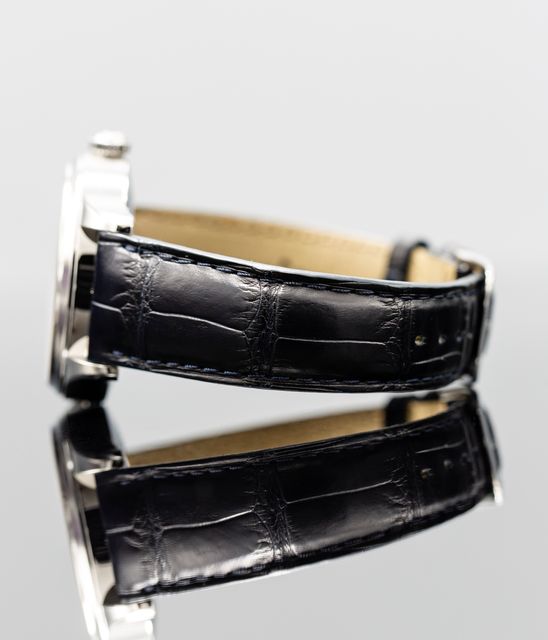 Jaeger-LeCoultre Master Geographic 1428530 Image 2